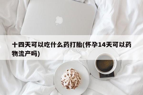 米非米索货到付款十四天可以吃什么药打胎(怀孕14天可以药物流产吗)